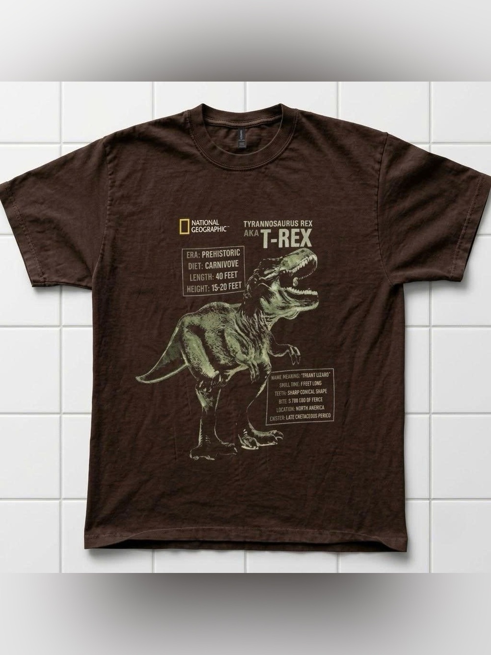Vintage National Geographic Brown T-Rex Graphic Tee